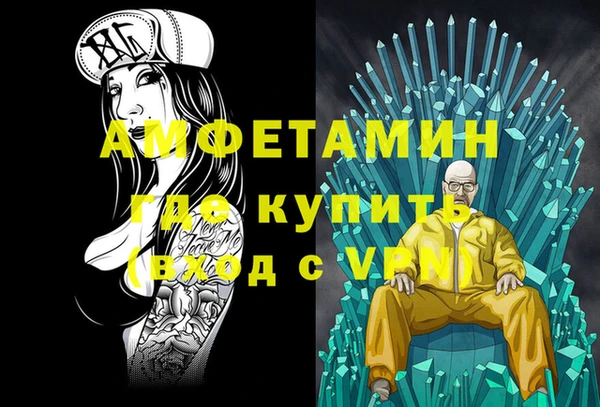 индика Алексин