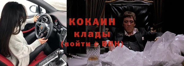 шишки Абдулино