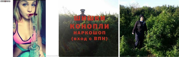 спайс Алексеевка