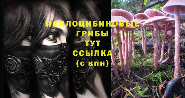 шишки Абдулино