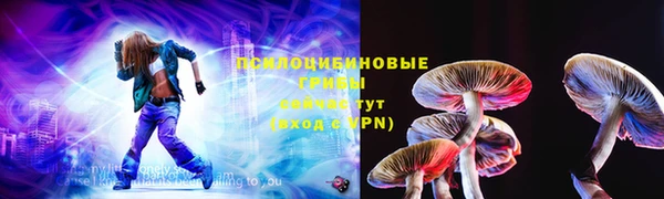шишки Абдулино