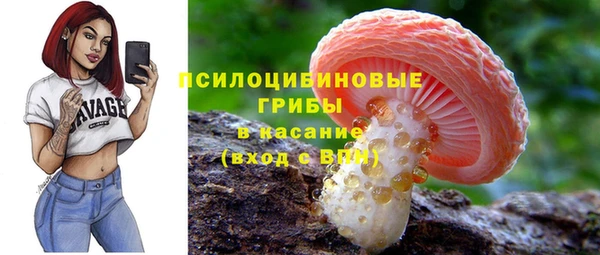 шишки Алзамай