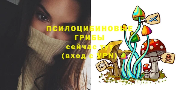 шишки Абдулино