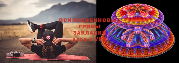 шишки Алзамай